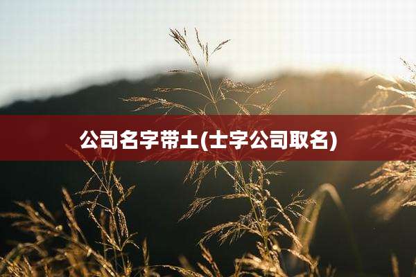 公司名字带土(士字公司取名)