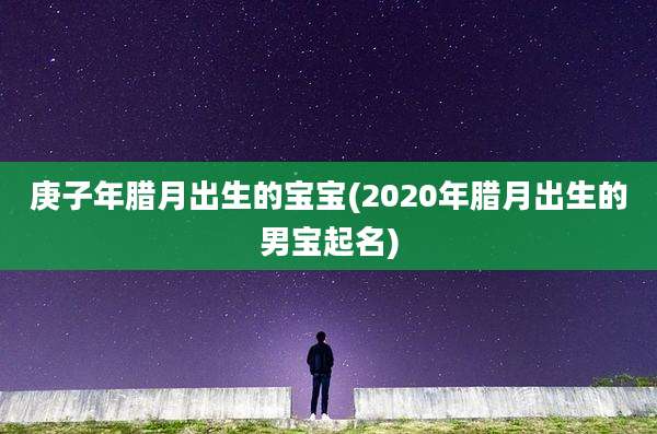 庚子年腊月出生的宝宝(2020年腊月出生的男宝起名)