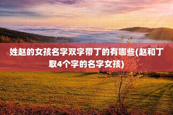 姓赵的女孩名字双字带丁的有哪些(赵和丁取4个字的名字女孩)