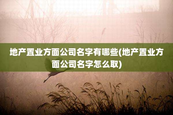 地产置业方面公司名字有哪些(地产置业方面公司名字怎么取)