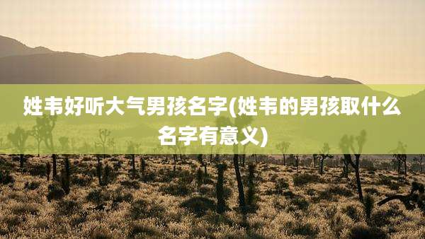 姓韦好听大气男孩名字(姓韦的男孩取什么名字有意义)