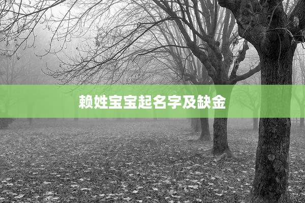 赖姓宝宝起名字及缺金