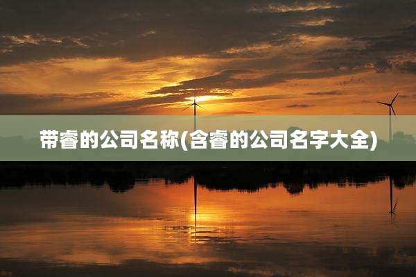 带睿的公司名称(含睿的公司名字大全)
