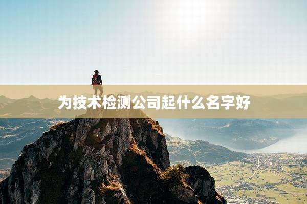 为技术检测公司起什么名字好