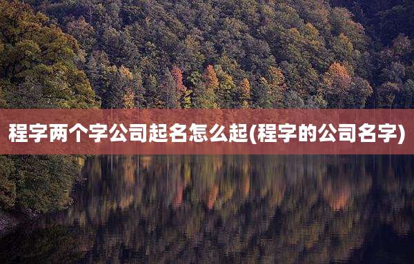 程字两个字公司起名怎么起(程字的公司名字)