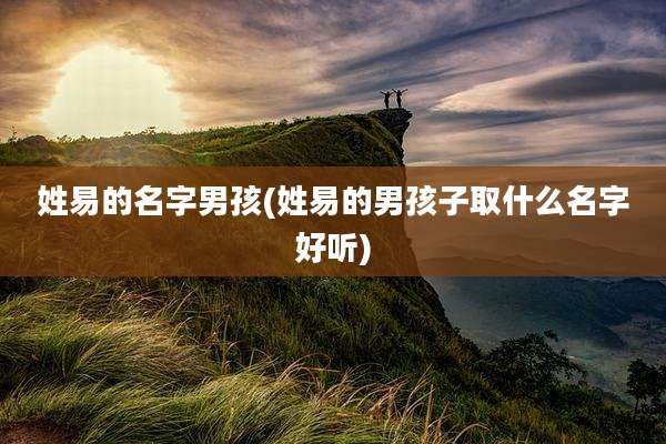 姓易的名字男孩(姓易的男孩子取什么名字好听)