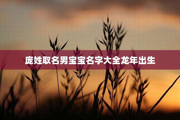 庞姓取名男宝宝名字大全龙年出生