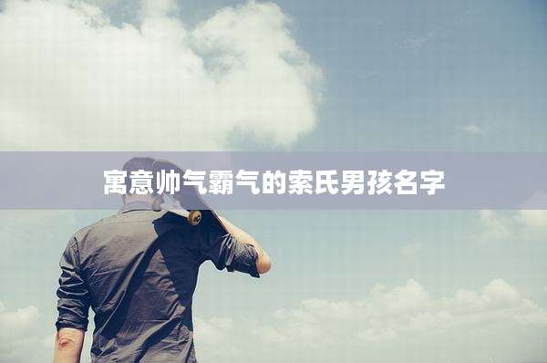 寓意帅气霸气的索氏男孩名字