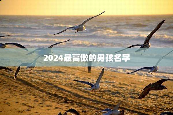 2024最高傲的男孩名字