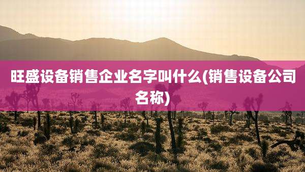 旺盛设备销售企业名字叫什么(销售设备公司名称)
