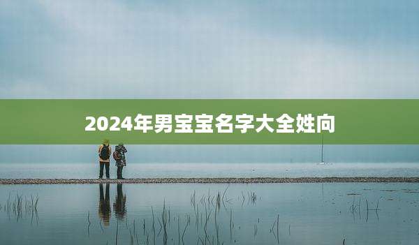 2024年男宝宝名字大全姓向