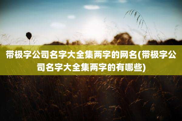 带极字公司名字大全集两字的网名(带极字公司名字大全集两字的有哪些)