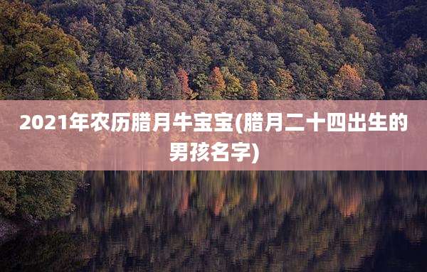 2021年农历腊月牛宝宝(腊月二十四出生的男孩名字)