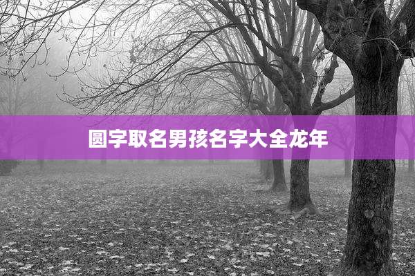 圆字取名男孩名字大全龙年