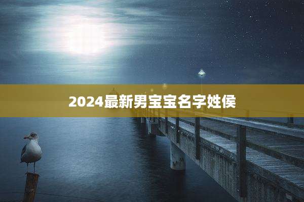 2024最新男宝宝名字姓侯