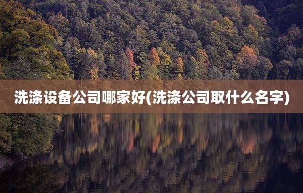 洗涤设备公司哪家好(洗涤公司取什么名字)