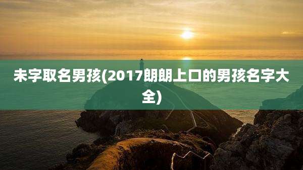 未字取名男孩(2017朗朗上口的男孩名字大全)