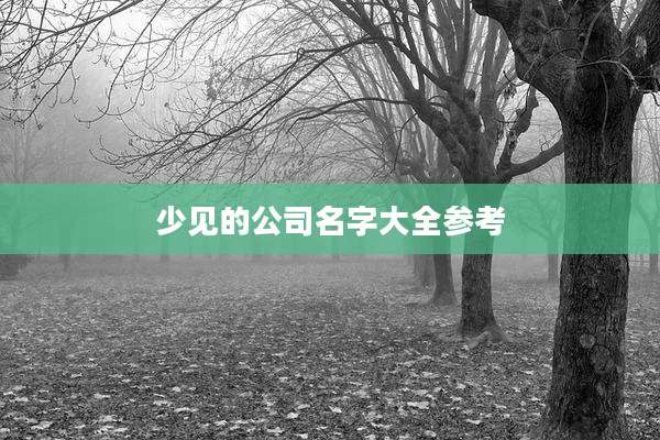 少见的公司名字大全参考