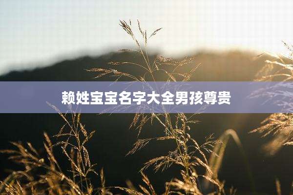 赖姓宝宝名字大全男孩尊贵