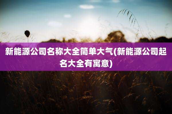 新能源公司名称大全简单大气(新能源公司起名大全有寓意)