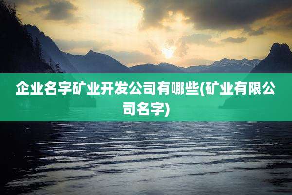 企业名字矿业开发公司有哪些(矿业有限公司名字)