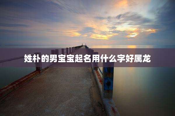 姓朴的男宝宝起名用什么字好属龙