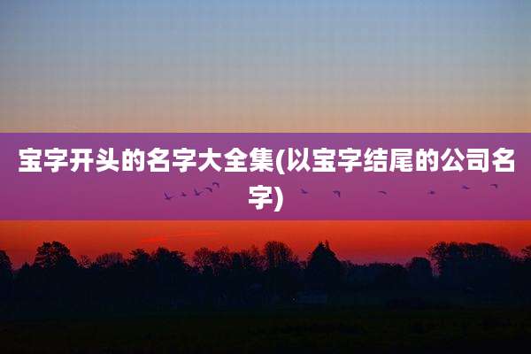 宝字开头的名字大全集(以宝字结尾的公司名字)