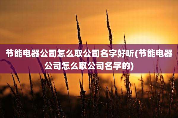 节能电器公司怎么取公司名字好听(节能电器公司怎么取公司名字的)