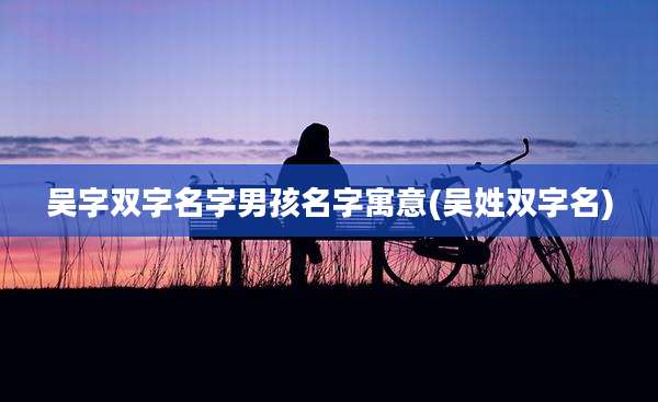 吴字双字名字男孩名字寓意(吴姓双字名)