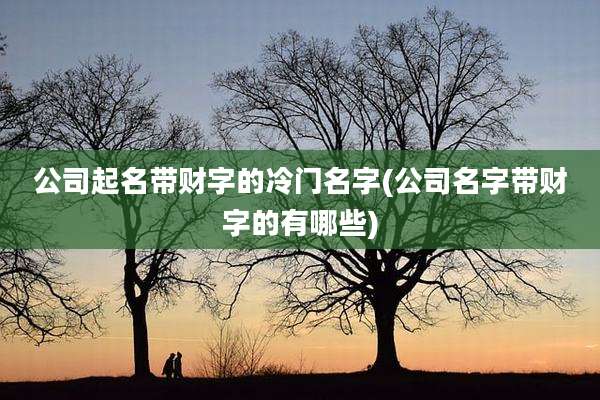 公司起名带财字的冷门名字(公司名字带财字的有哪些)