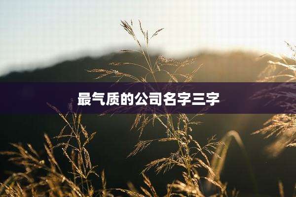 最气质的公司名字三字