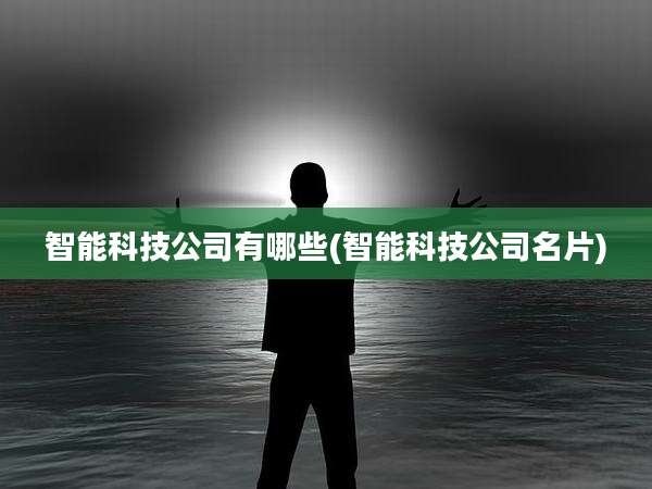 智能科技公司有哪些(智能科技公司名片)