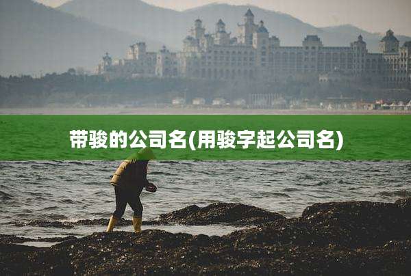 带骏的公司名(用骏字起公司名)