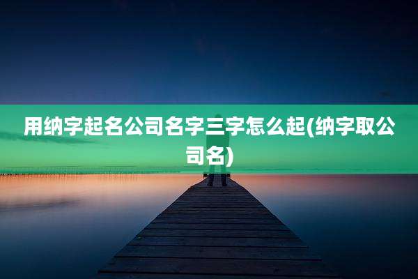 用纳字起名公司名字三字怎么起(纳字取公司名)