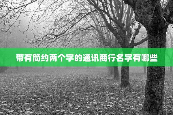 带有简约两个字的通讯商行名字有哪些