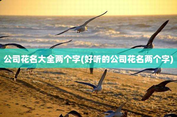 公司花名大全两个字(好听的公司花名两个字)