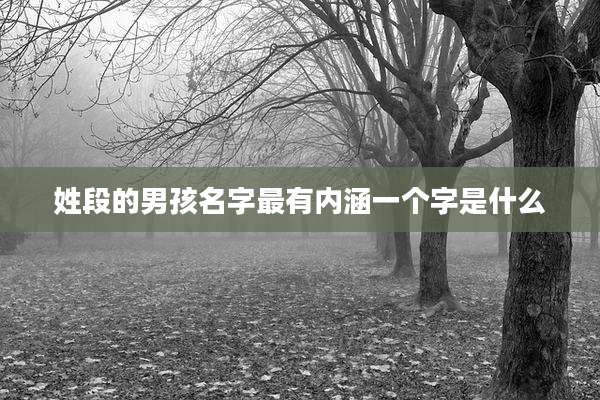 姓段的男孩名字最有内涵一个字是什么