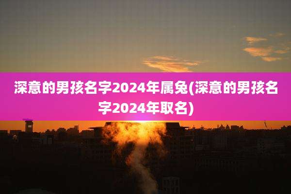 深意的男孩名字2024年属兔(深意的男孩名字2024年取名)