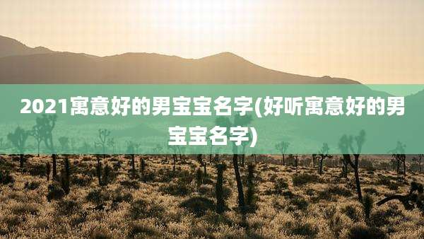 2021寓意好的男宝宝名字(好听寓意好的男宝宝名字)