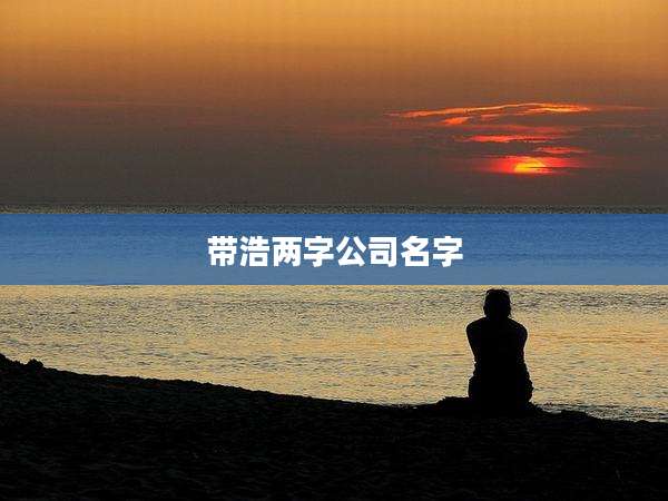 带浩两字公司名字