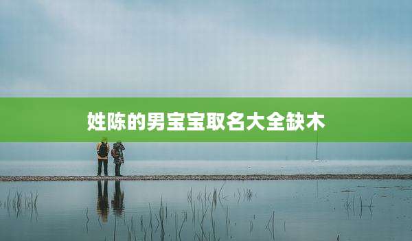 姓陈的男宝宝取名大全缺木