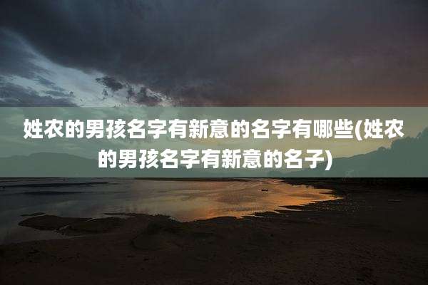 姓农的男孩名字有新意的名字有哪些(姓农的男孩名字有新意的名子)
