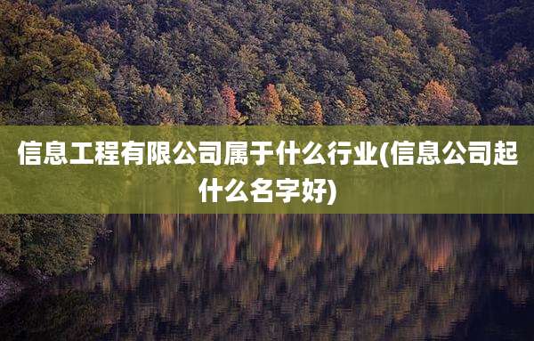 信息工程有限公司属于什么行业(信息公司起什么名字好)