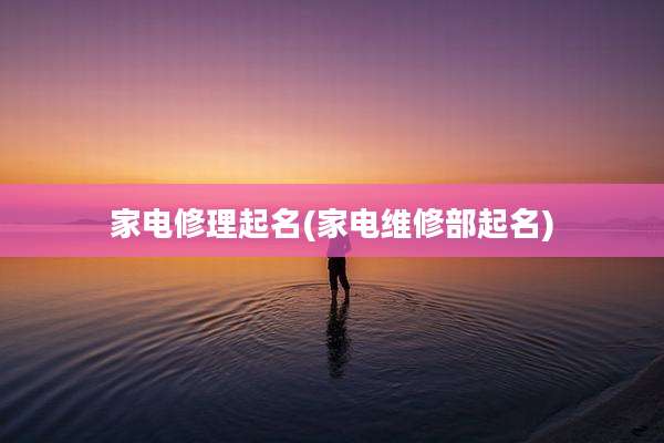 家电修理起名(家电维修部起名)