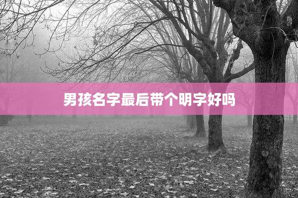 男孩名字最后带个明字好吗