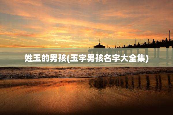 姓玉的男孩(玉字男孩名字大全集)