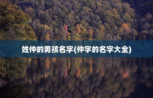 姓仲的男孩名字(仲字的名字大全)