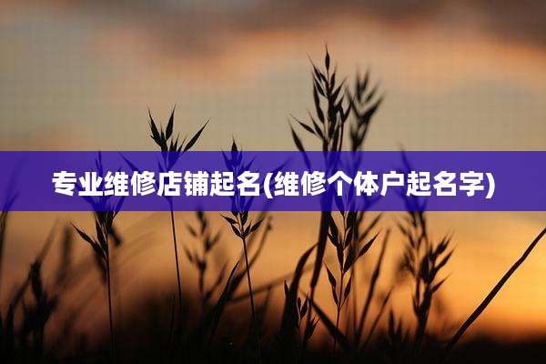 专业维修店铺起名(维修个体户起名字)