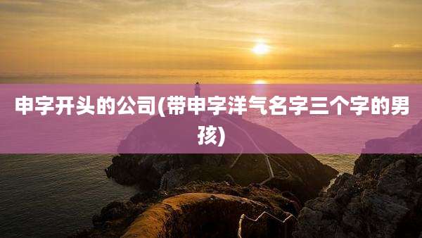 申字开头的公司(带申字洋气名字三个字的男孩)