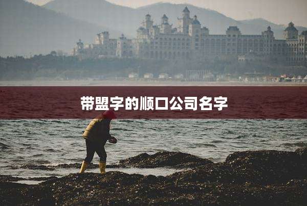 带盟字的顺口公司名字